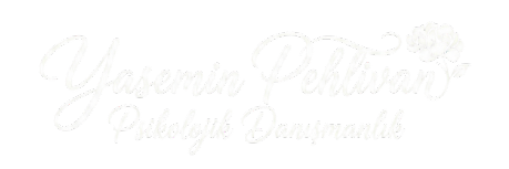 Yasemin Pehlivan 